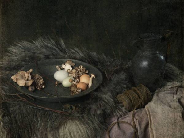 Photograph Natasha Nicholson Natnic_mushrooms on One Eyeland